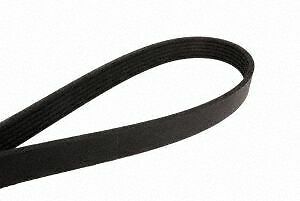 Serpentine Belt   FVP   858K6