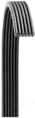 Serpentine Belt  Dayco  6070535DR