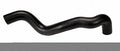 Continental Molded Radiator Hose 62904