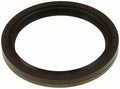 Rr Main Seal  Mahle Original  67843