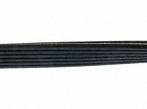 Continental Premuim Serpentine Belt D4060725