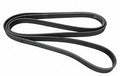 Serpentine Belt  Continental  D4081254