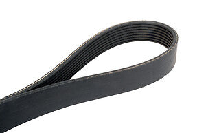 Serpentine Belt  Continental  4081244X