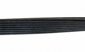 Serpentine Belt  Continental  D4070816
