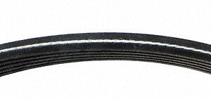Serpentine Belt  Continental  D4050610