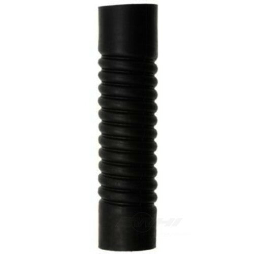 Radiator Hose Dayco 81291