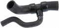 Continental Molded Radiator Hose 62839