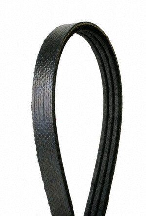 Continental Premuim Serpentine Belt 4030195S