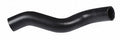 Continental Molded Radiator Hose 62692