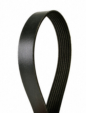 Serpentine Belt  Continental  7PK2035
