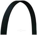 Serpentine Belt  Dayco  5070975DR