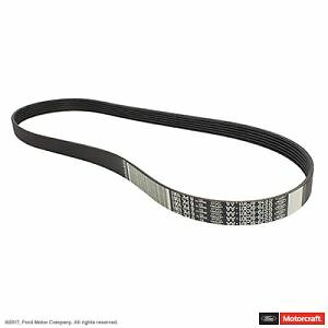 Serpentine Belt JK6-424A Motorcraft