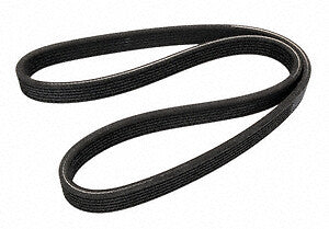 Continental Premuim Serpentine Belt D4060956