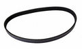 Continental Premuim Serpentine Belt 4050272S