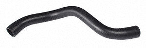 Hose Radiator  Continental  62432