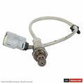 Oxygen Sensor DY1447 Motorcraft