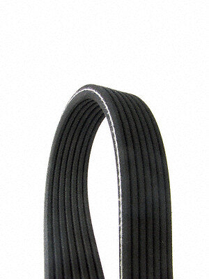 Serpentine Belt  Continental  D4070816