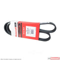 Serpentine Belt  Motorcraft  JK6-456AA