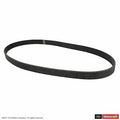 Serpentine Belt JK6-424A Motorcraft
