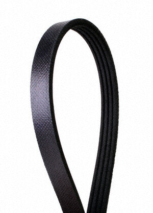 Continental Premuim Serpentine Belt 4040317S