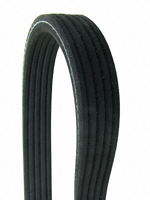 Serpentine Belt  Continental  D4050610