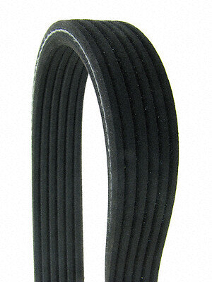 Continental Premuim Serpentine Belt D4060956