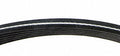 Continental Premuim Serpentine Belt D4060725