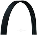 Serpentine Belt  Dayco  5060975DR