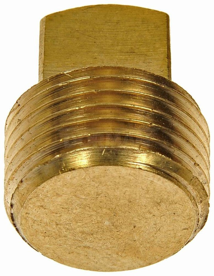 Expansion Plug (Block Parts)  Dorman/AutoGrade  785-072